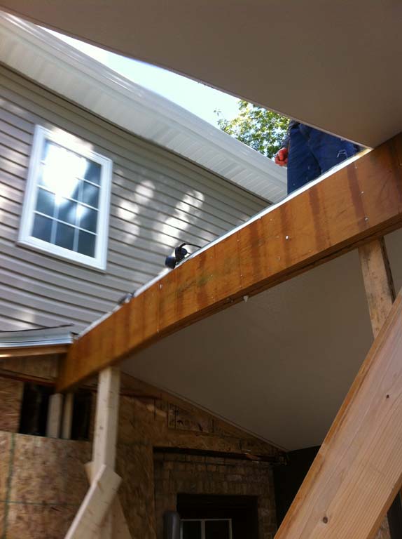 Project name