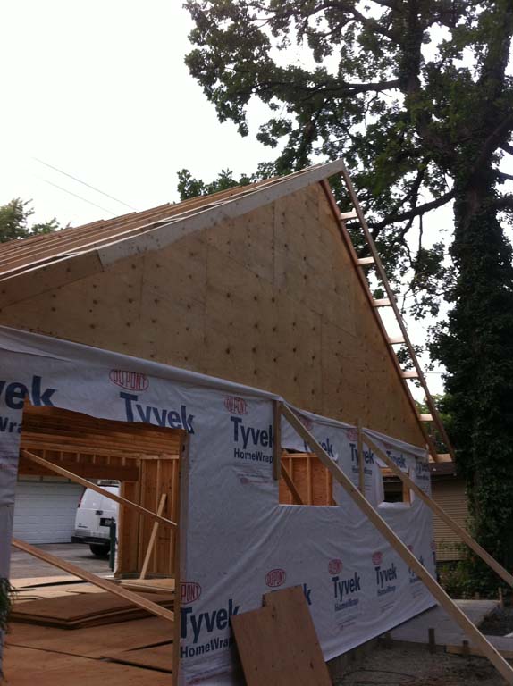 Project name