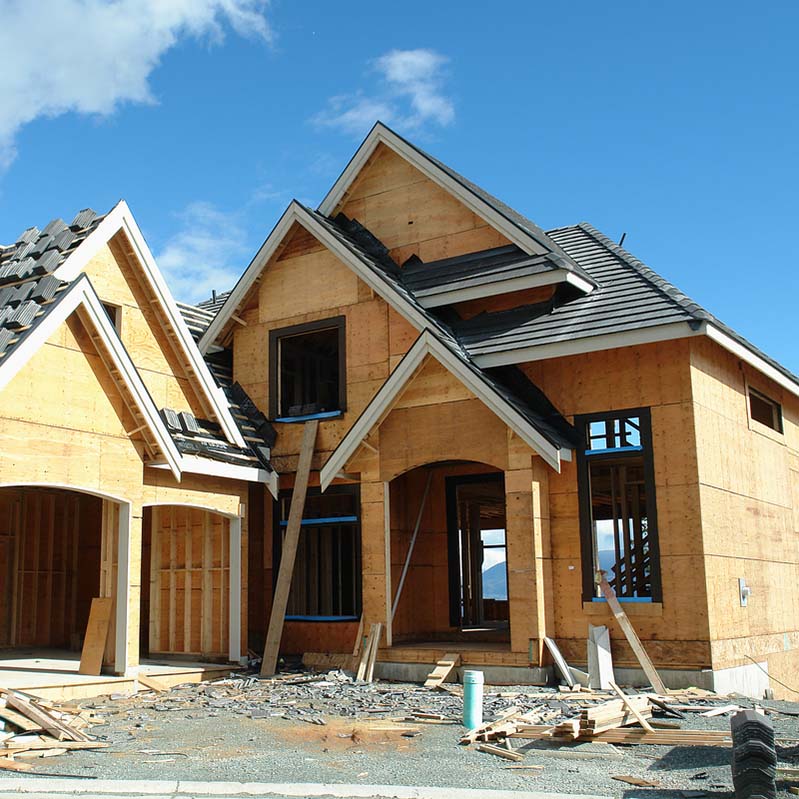 Project name